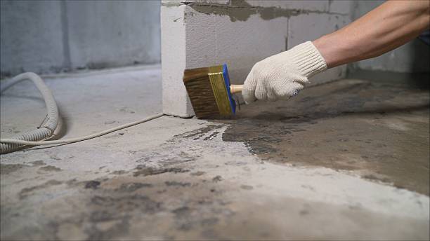 24/7 Emergency Crawl Space Encapsulation experts in Saint James, NY